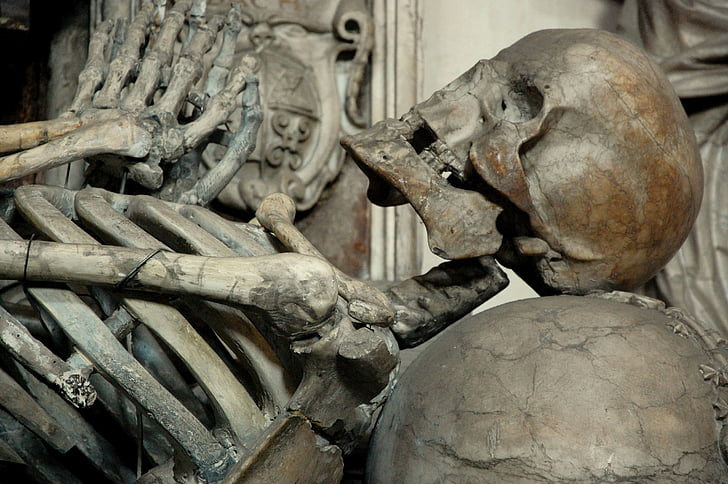 død, Skull og krydsede, skelet, memento mori, kranium, knogle, kraniet knogle