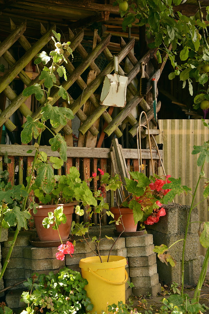 allotment, idyllic garden, garden, gardening, after work, flower pots, garden shed