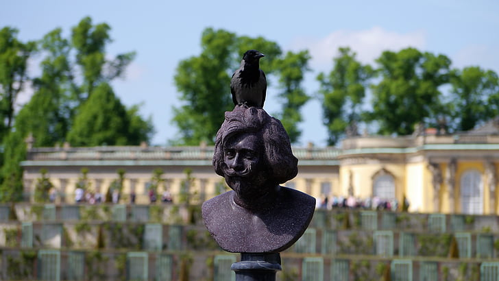 estatua de, cabeza, escultura, hombre, Cuervo, Raven ave, busto
