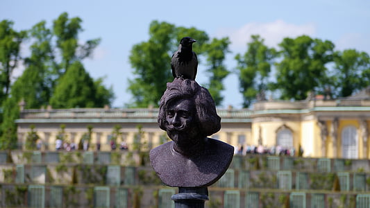 statue, hoved, skulptur, mand, Crow, Raven fugl, buste