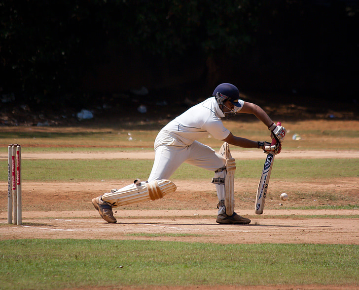 cricket, cricketer, batting, defensive, stumps, player, sports