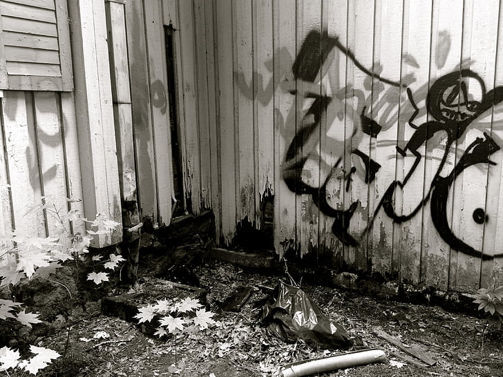Graffiti, arte, disegno, cultura, vernice, spruzzo, atti di vandalismo