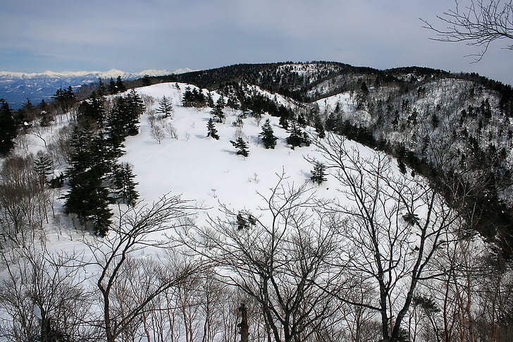 Japan, bjerge, sne, vinter, skov, træer, landskab
