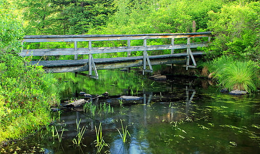 bridge, grass, outdoors, river, water, nature, tree