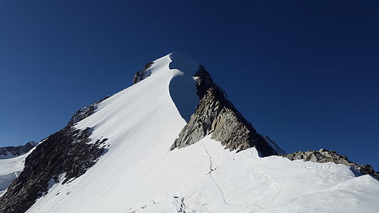 Piz bernina, alpint, biancograt, toppmøtet, Graubünden, Sveits, fjell