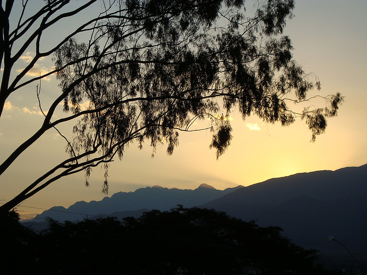 voando, montanha, árvore, pôr do sol, paisagem, Crepúsculo, silhuetas