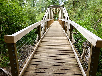 ponte, Parque de Buford, madeira, estrutura, Parque, de madeira, ao ar livre