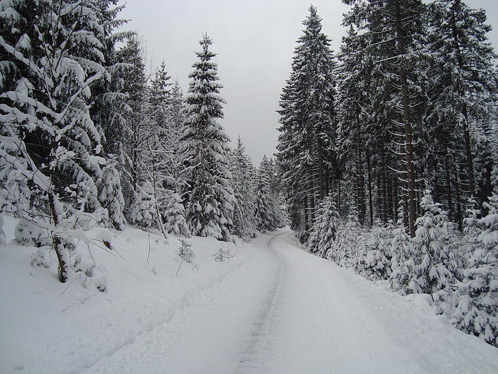 Winterberg, Vācija, sniega, distanču slēpošana, ziemas, ainava