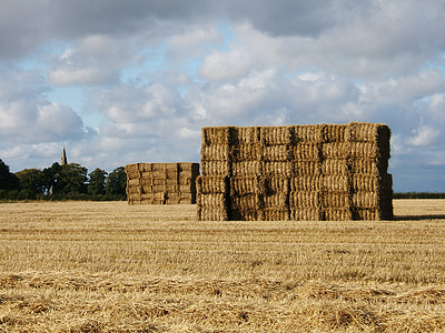 hay, sky, church, harvest, nature, field, rural
