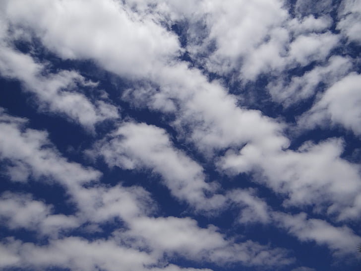 雲, 空, 曇り, ホワイト, ふわふわ, cloudscape, ブルー