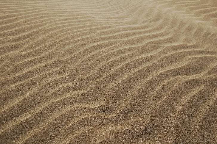 macro, tiro, fotografia, deserto, areias, ensolarado, céu