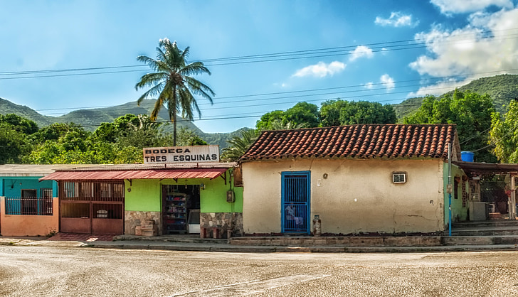 Margarita island, tropikerna, butiker, byggnader, arkitektur, Palm, träd