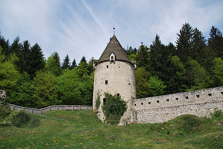 Башня, Словения, Žička karturzija, забор, Старый, Замок, Европа
