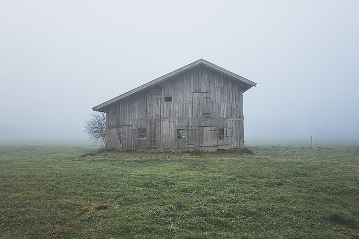 Foto, grigio, cabina, medio, nebbia, natura, praterie