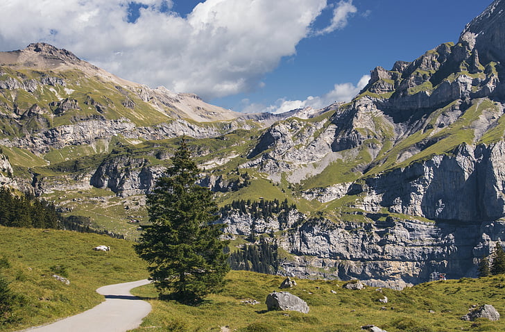 montanhas, trilha, caminhadas, Suíça, Lago oeschinen, paisagem, abeto