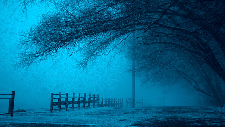 lạnh, tối, kỳ lạ, nỗi sợ hãi, hàng rào, sương mù, sương mù