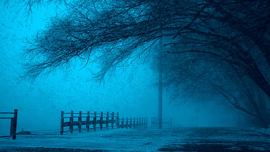 cold, dark, eerie, fear, fence, fog, foggy