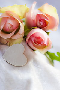 Романтика, романтичний, рожевий, Троянди, цвітіння, цвітіння, квітка