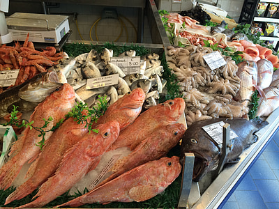 frutti di mare, pesce, mangiare
