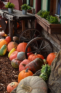 Kürbisse, Herbst, Orange, Gemüse, Dekoration, Kuerbis, Oktober