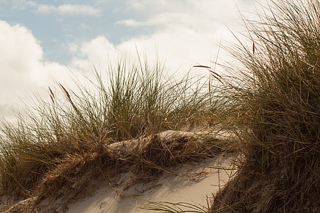 Dune, ø, Nordsøen, Amrum, sand dune, skyer, Dune ridge