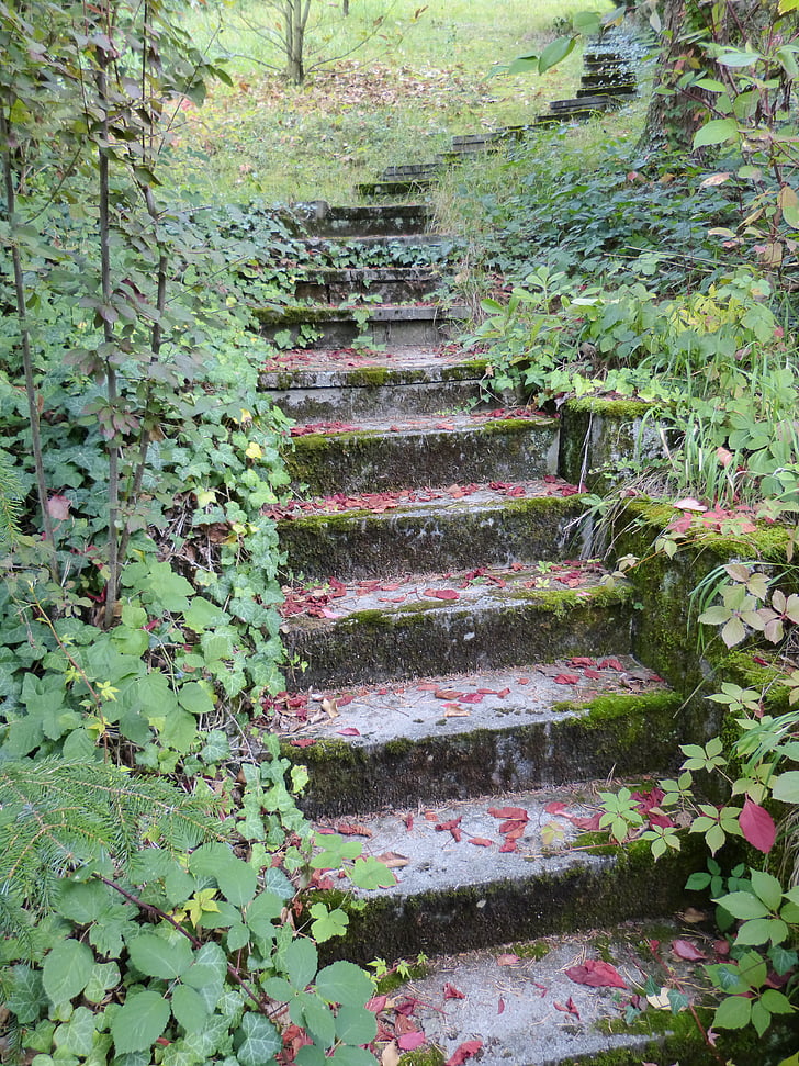 postopoma, stopnice, kamen, vrt, rastlin, listi, jeseni