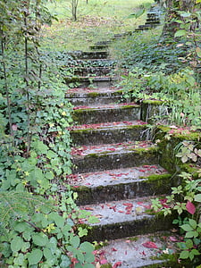 postupně, schodiště, kámen, zahrada, závod, listy, podzim