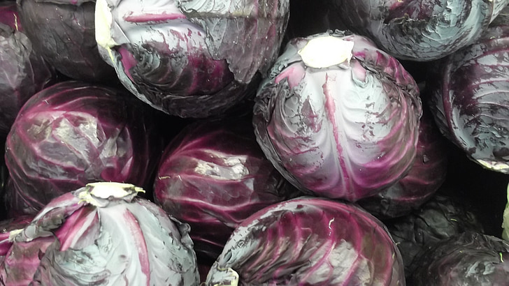 cabbage, vegetable, food, purple cabbage