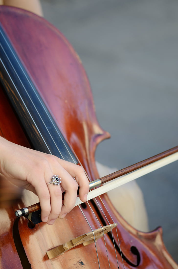 pemain cello, Cello, musik klasik, konser, biola, Fiddler, instrumen