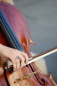 violoncelliste, violoncelle, musique classique, concert, Fiddle, violon, instrument