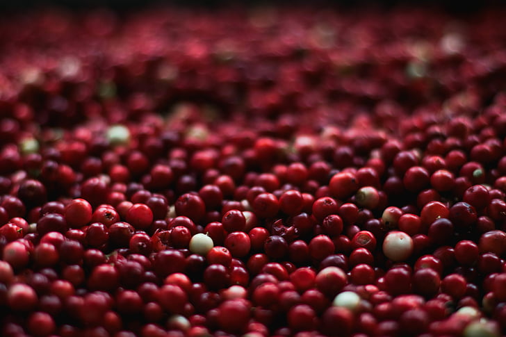 berries, close-up, cranberries, food, fruits, healthy, nutrition