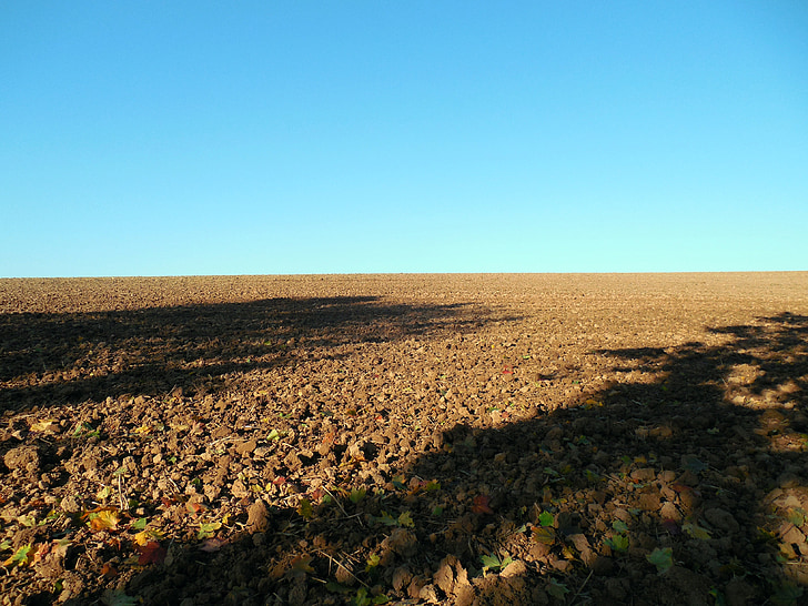 field, arable, autumn, agriculture, harvest, horizon