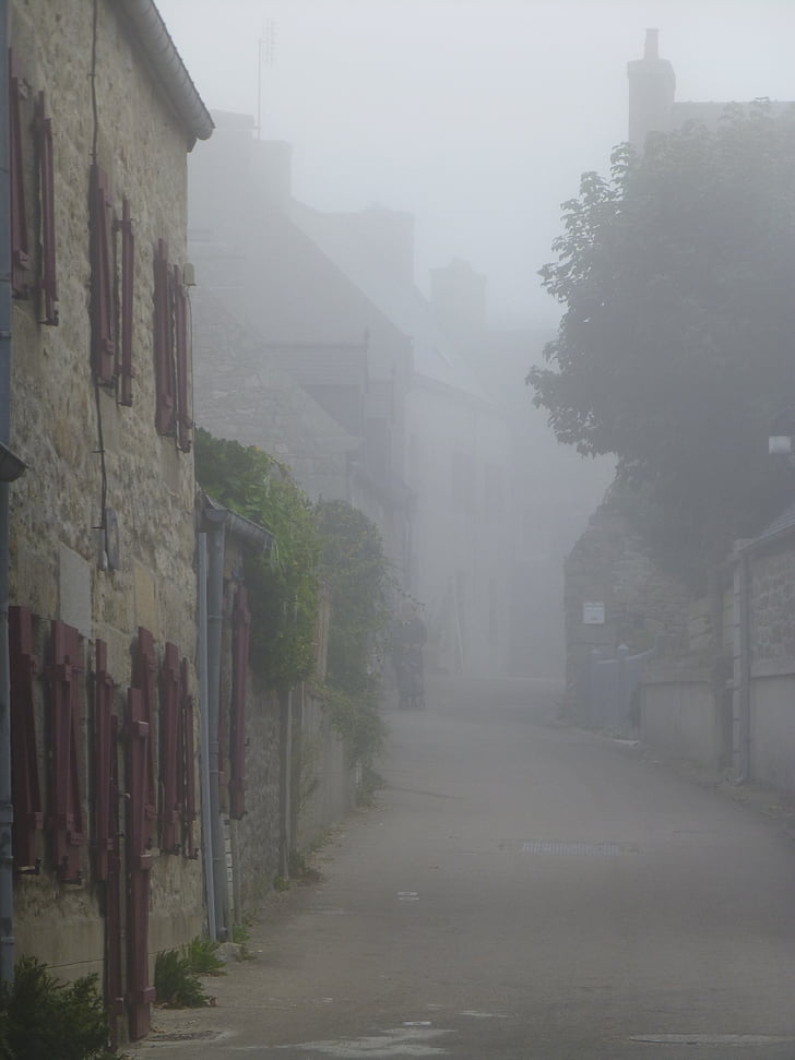 brittany, fog, autumn, road, haze, landscape