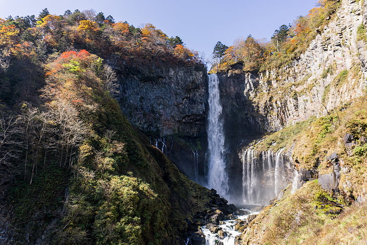 日航, 严瀑布, 秋天的落叶, 叶子, 多彩, 日本