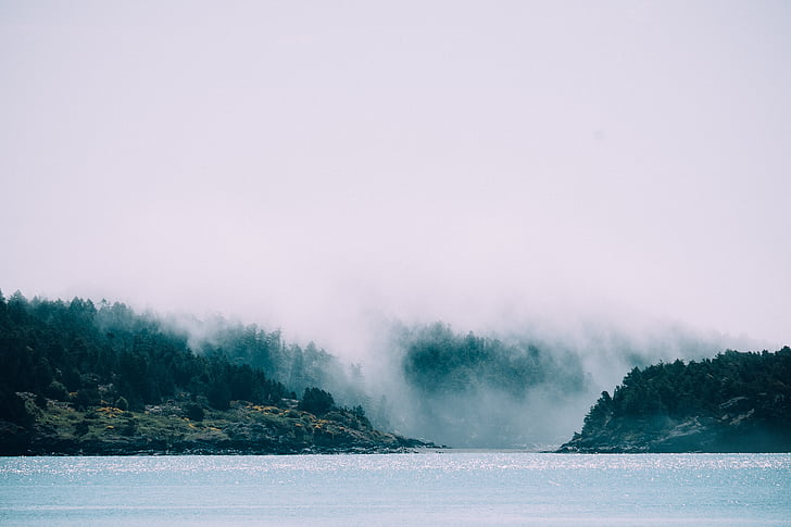 мъгла, гора, езеро, пейзаж, мъгла, природата, река