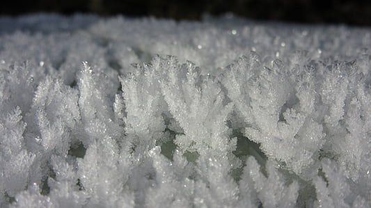eiskristalle, น้ำแข็ง, น้ำค้างแข็ง, เย็น, ฤดูหนาว, ผลึก, หลาย