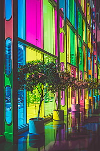 edificio, colorido, colorido, macetas, vidrio, en el interior, plantas