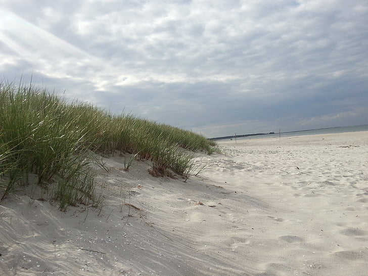 Dunes, Pantai, Laut Baltik, alam, pasir