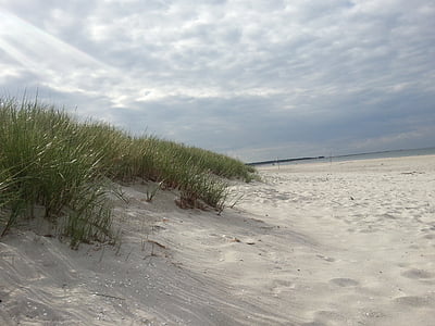 dunes, plage, mer Baltique, nature, sable