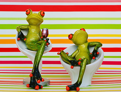 frog, chair, cozy, for two, drink, wine, cute