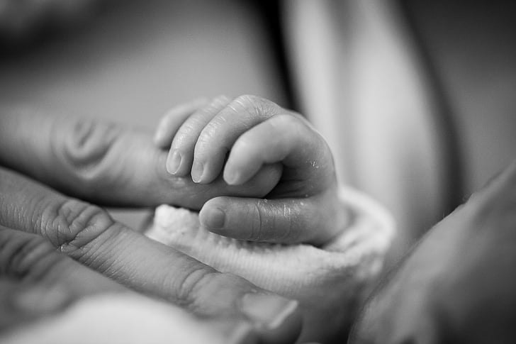 бебе, дете, раждане, доверие, ръка, макрос, preemie