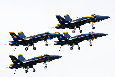 Flugzeug, blaue Winkel, Flugzeug, Meer fair, Seattle, Militärflugzeug, Kampfjet