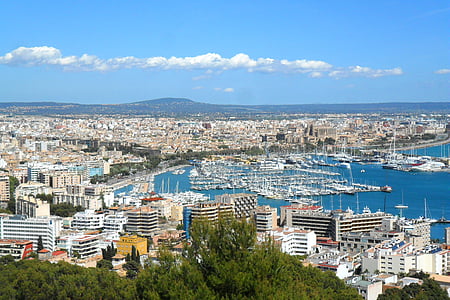 Şehir, Palma, Mayorka, İspanya, bağlantı noktası, gemi, tekneler