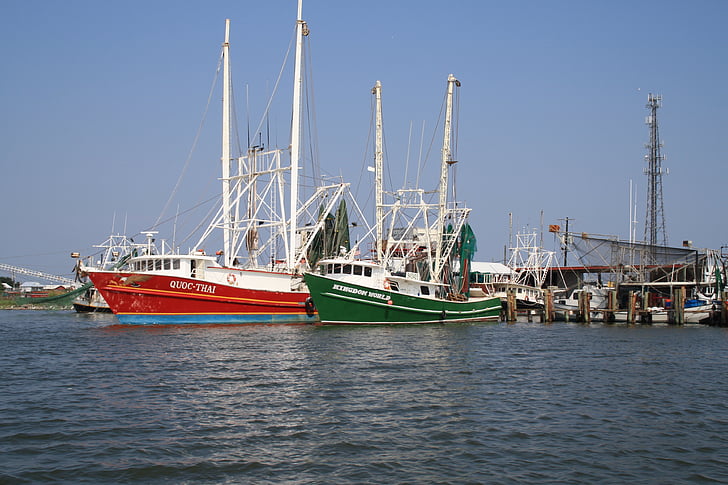 Louisiana, barco de camarones de, pesca comercial, pesca, barco de pesca, embarcación náutica, Puerto