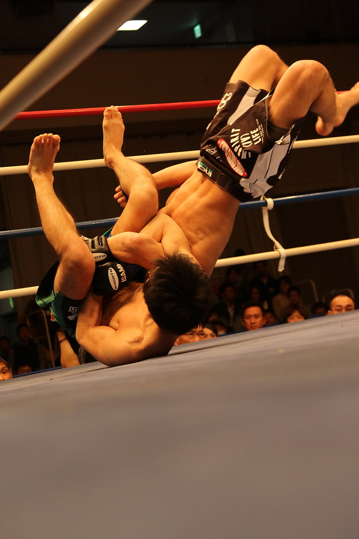 MMA, arts martiaux mixtes, Shooto, Japon, Maza lutte, Maza, waza