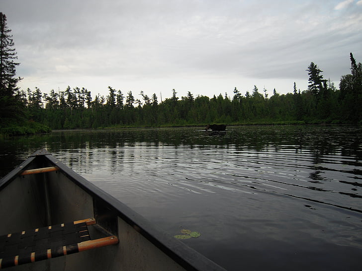 canoe, lake, calm, north, bwca, camping, fishing