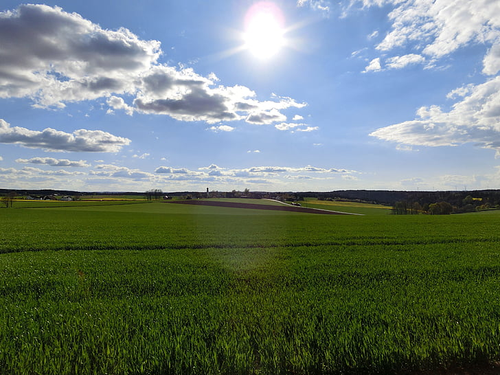 paysage, champs, champ de maïs, Agriculture, rural, gegelicht, nuages