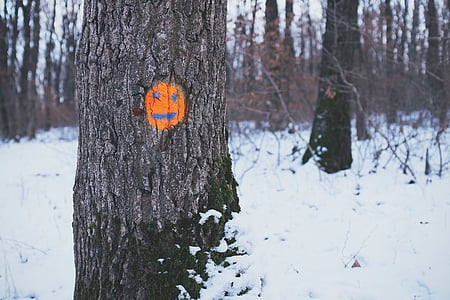 puud, oranž, nägu, joonistus, lumi, metsa, metsas