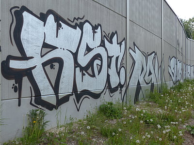 Graffiti, Silver, police, lettrage, brûlure, mur, peint