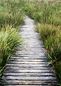 high fens, away, plank road, wooden track, nature